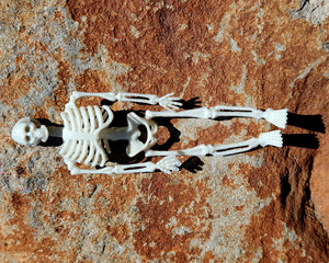 Scale Skelton Action Figure
